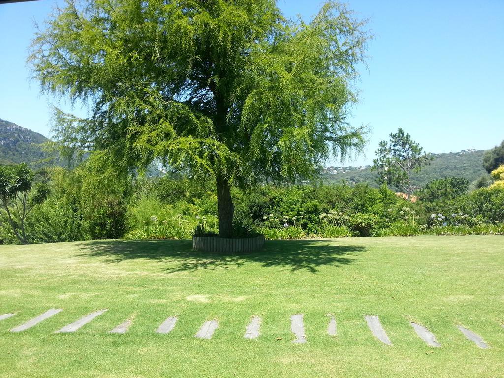 Piesang Valley Lodge Plettenberg Bay Quarto foto